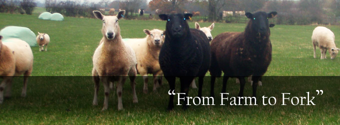 From Farm to Fork