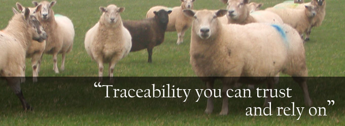 Traceability you can trust