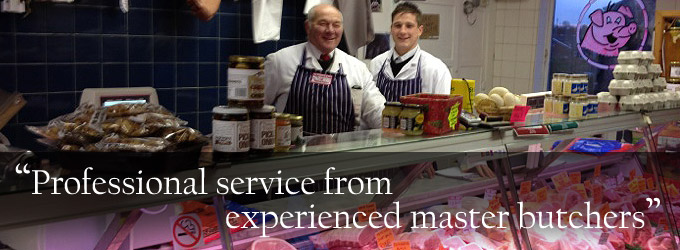 Professional Service